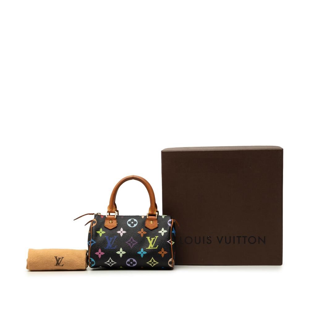 Louis Vuitton Speedy