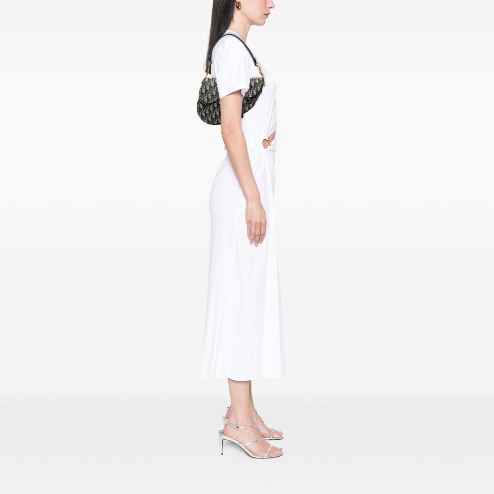 Dior Saddle Bag
