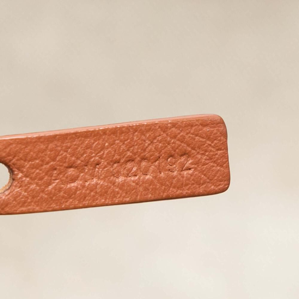 Goyard St Louis Tote