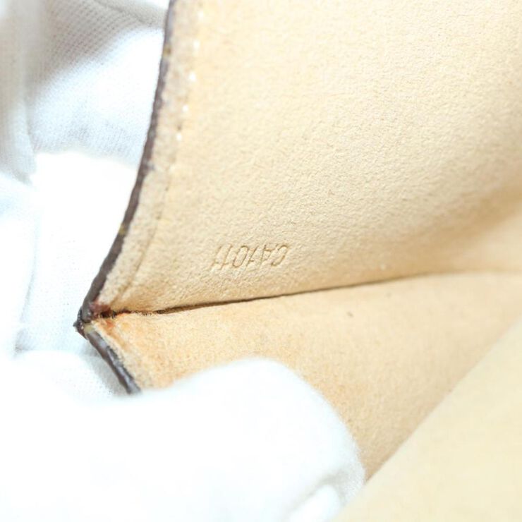 Louis Vuitton Twin Pochette