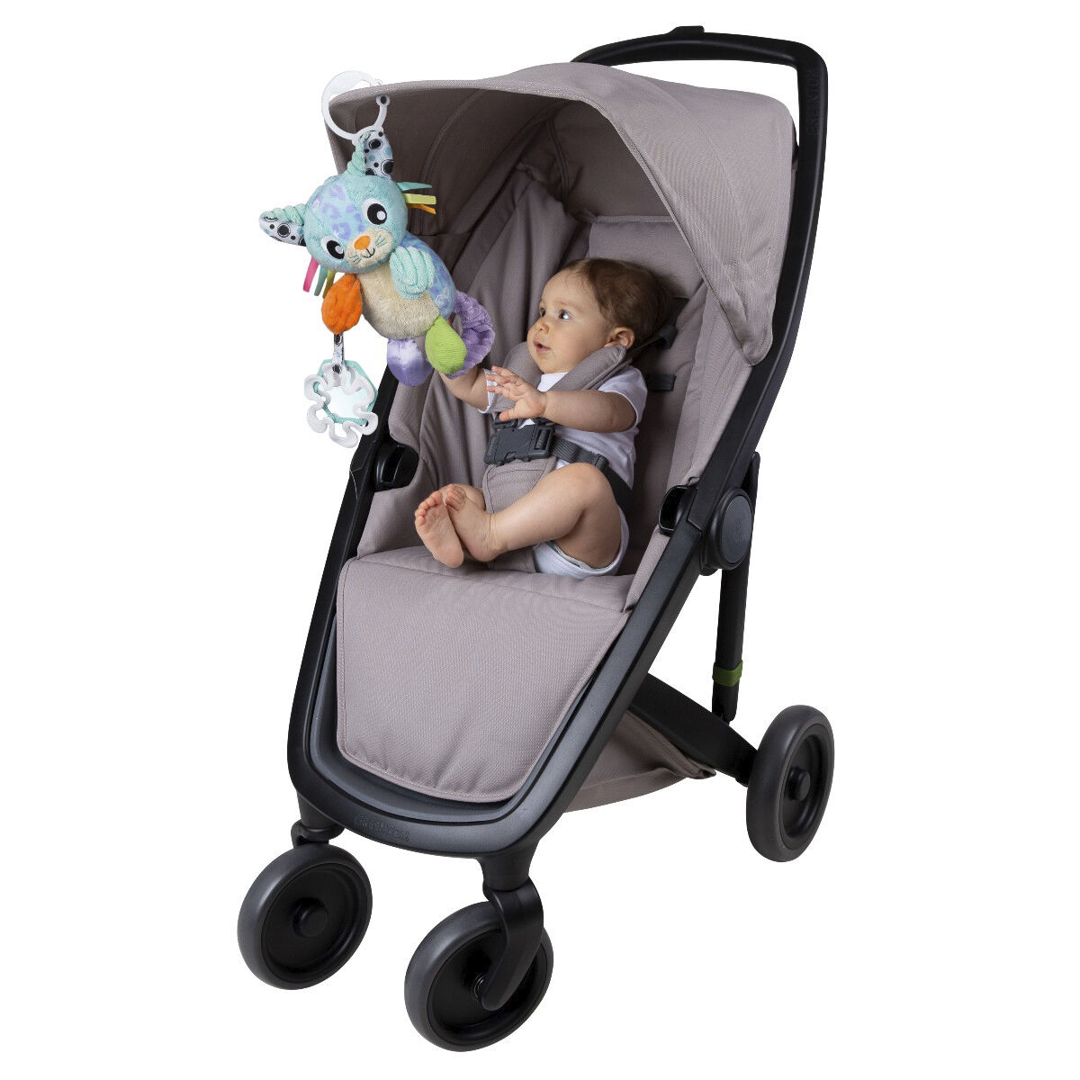 Aktivitets Kat med oph&aelig;ng