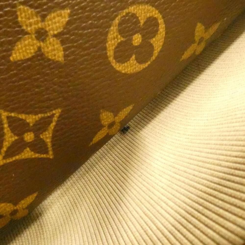 Louis Vuitton Reporter