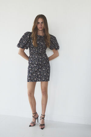 Sandrine Print Puff Dress