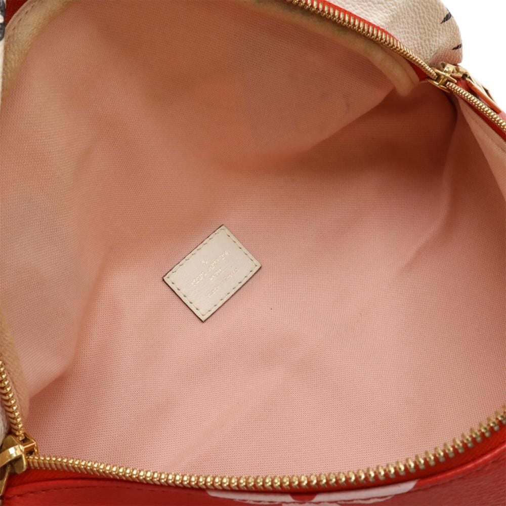 Louis Vuitton Bumbag