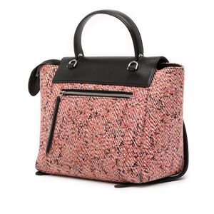 Celine Handbag
