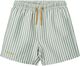 Duke Stripe Board Shorts Stripe Pep