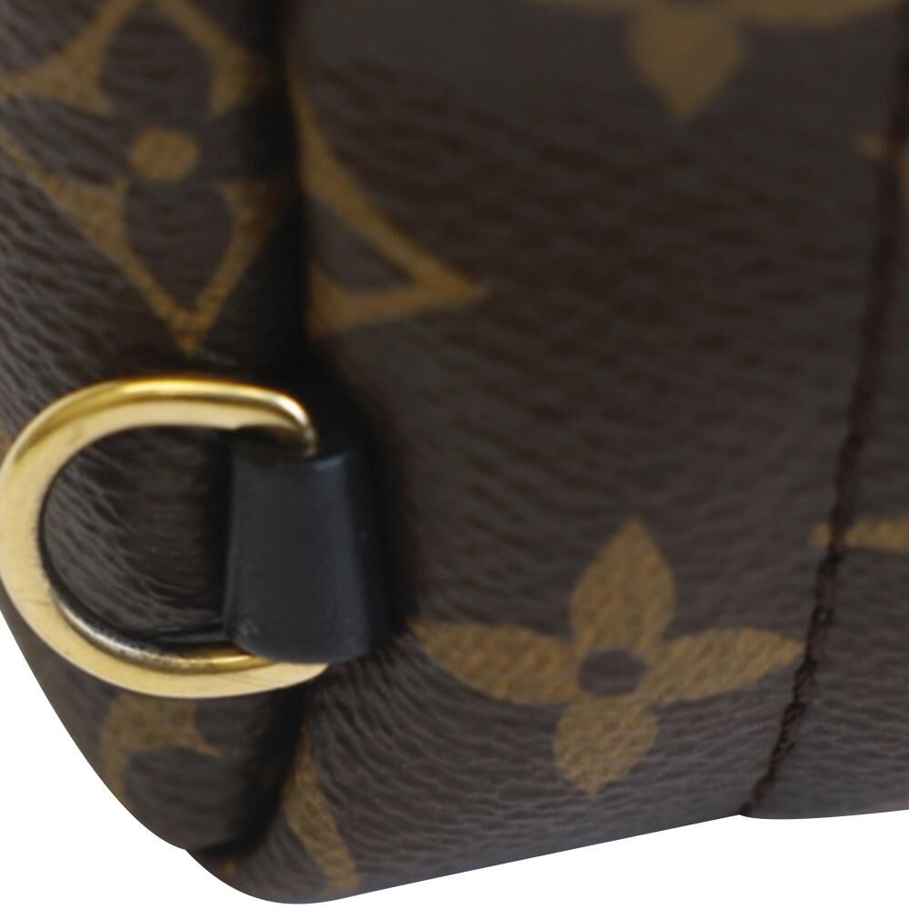 Louis Vuitton Backpack