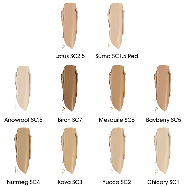 True Skin Serum - Concealer