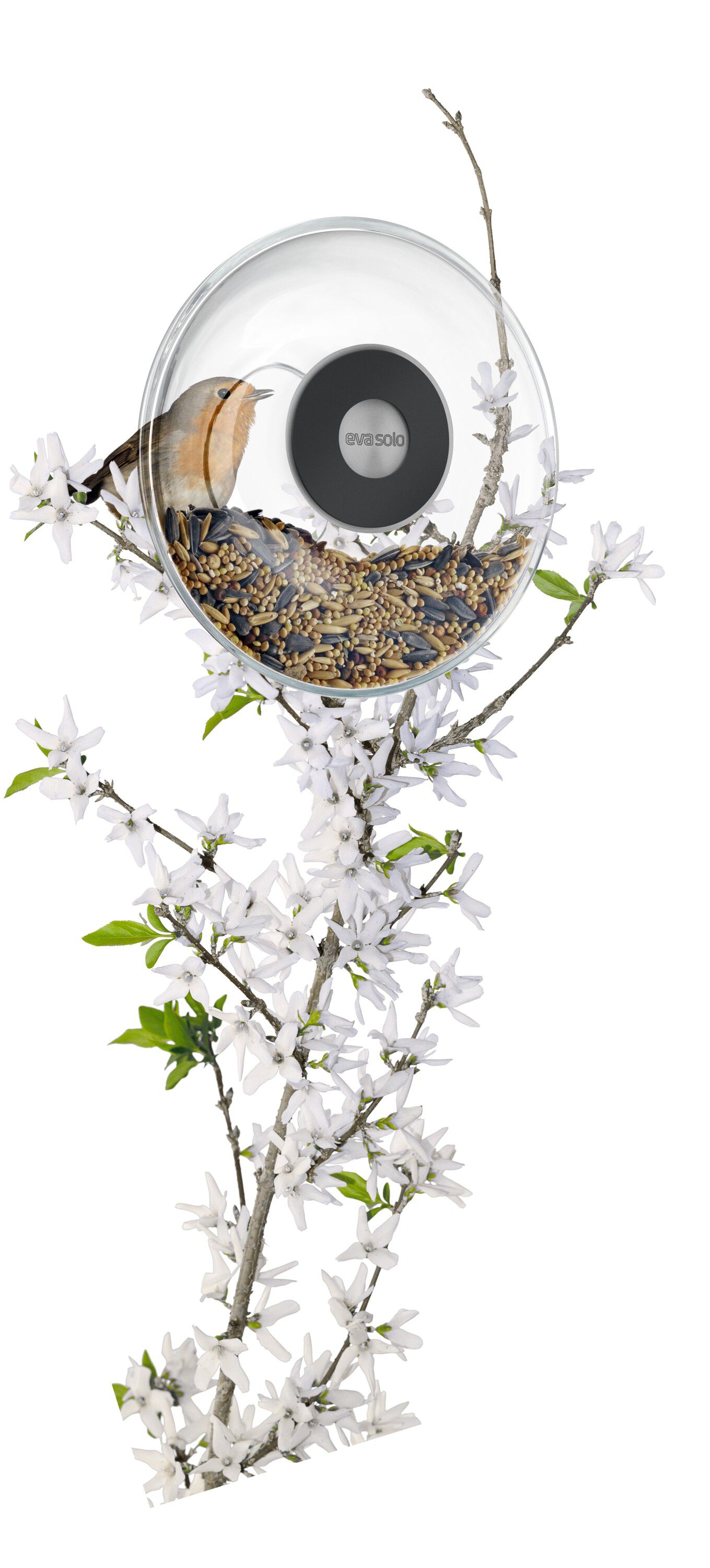 F?gelmatare f?r f?nster