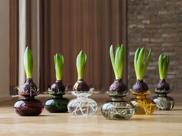 Vas Inu 11 x 9 cm Plum