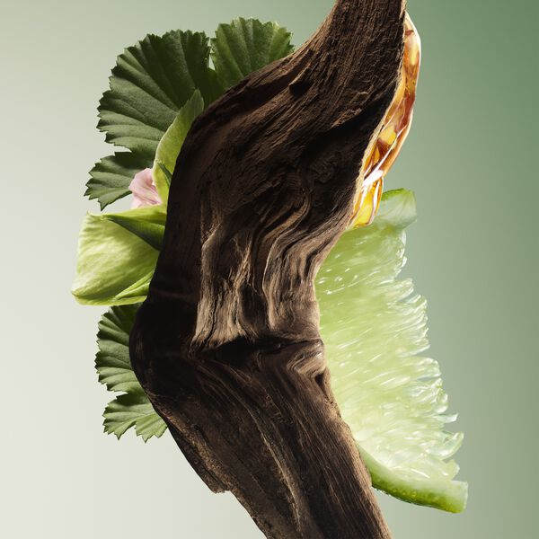 Paradigme Eau De Parfum