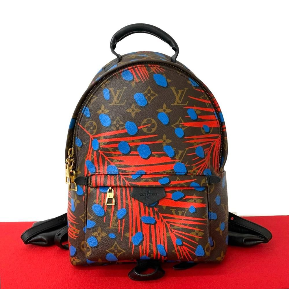 Louis Vuitton Backpack
