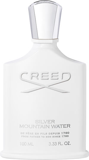 Silver Mountain Water