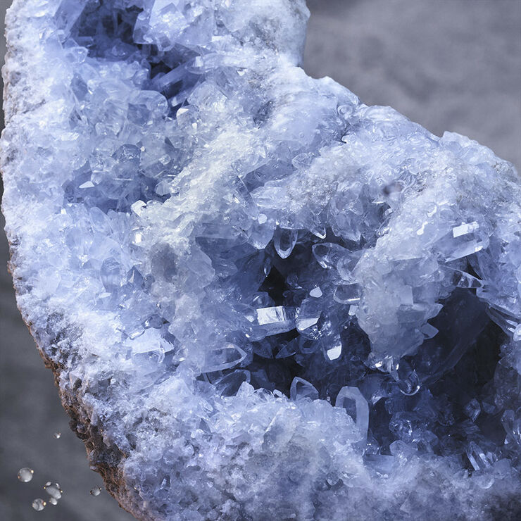 Invictus Deodorant Stick 75 ml.