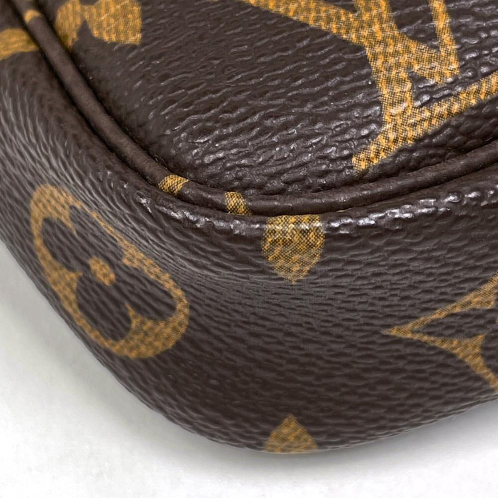Louis Vuitton Pouch