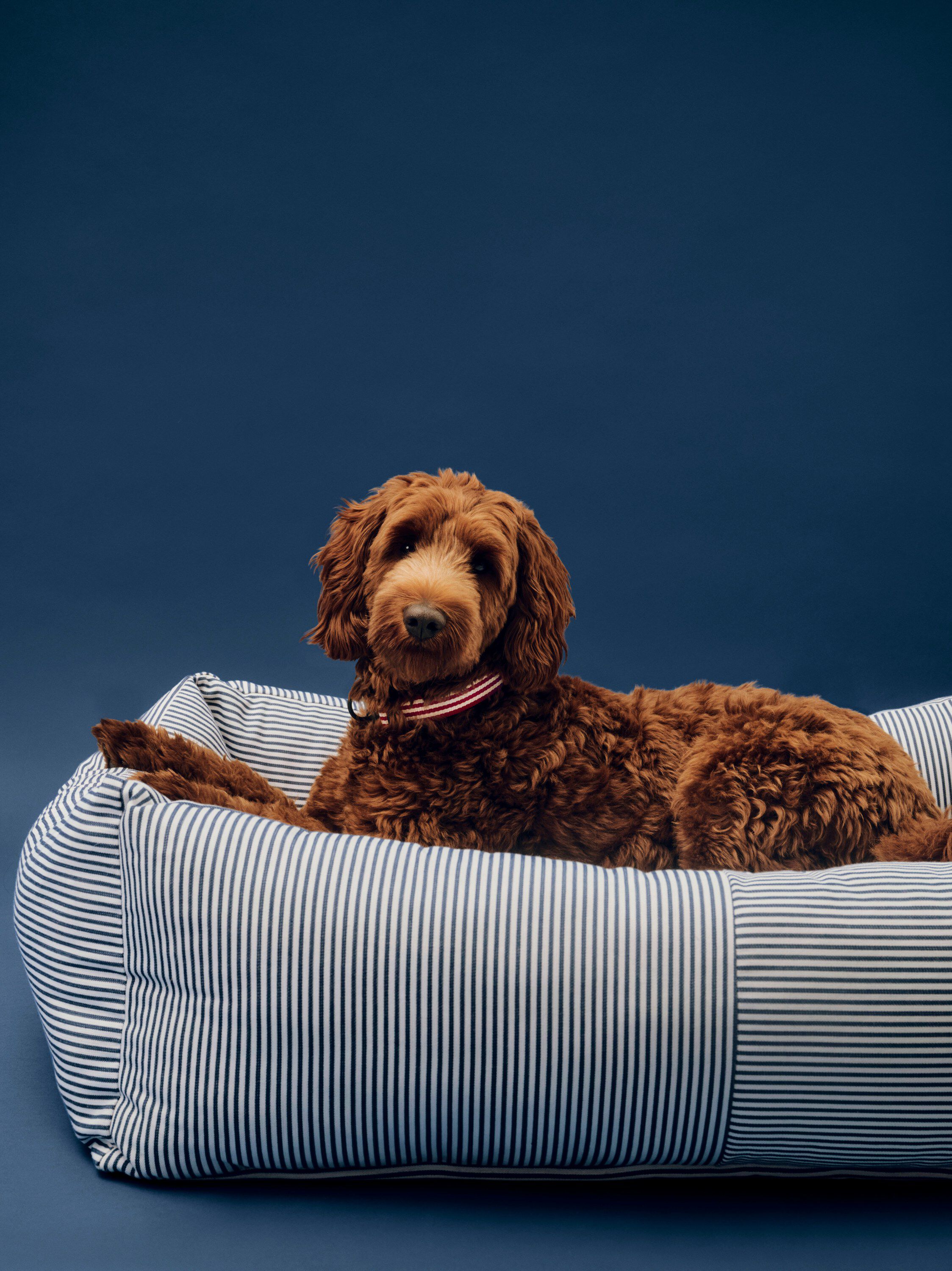 HAY Dogs Bed Zip-Large-Blue and whi