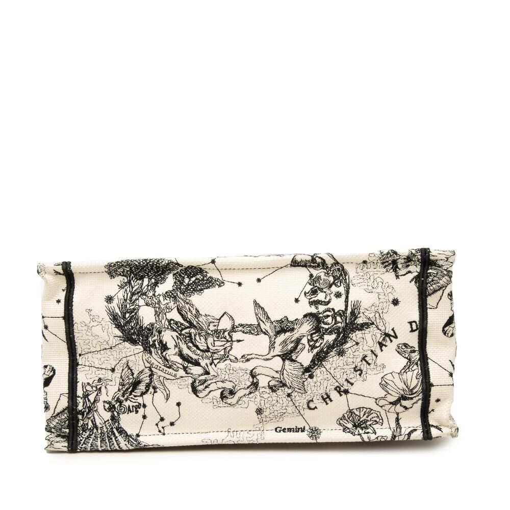 Dior Book Tote