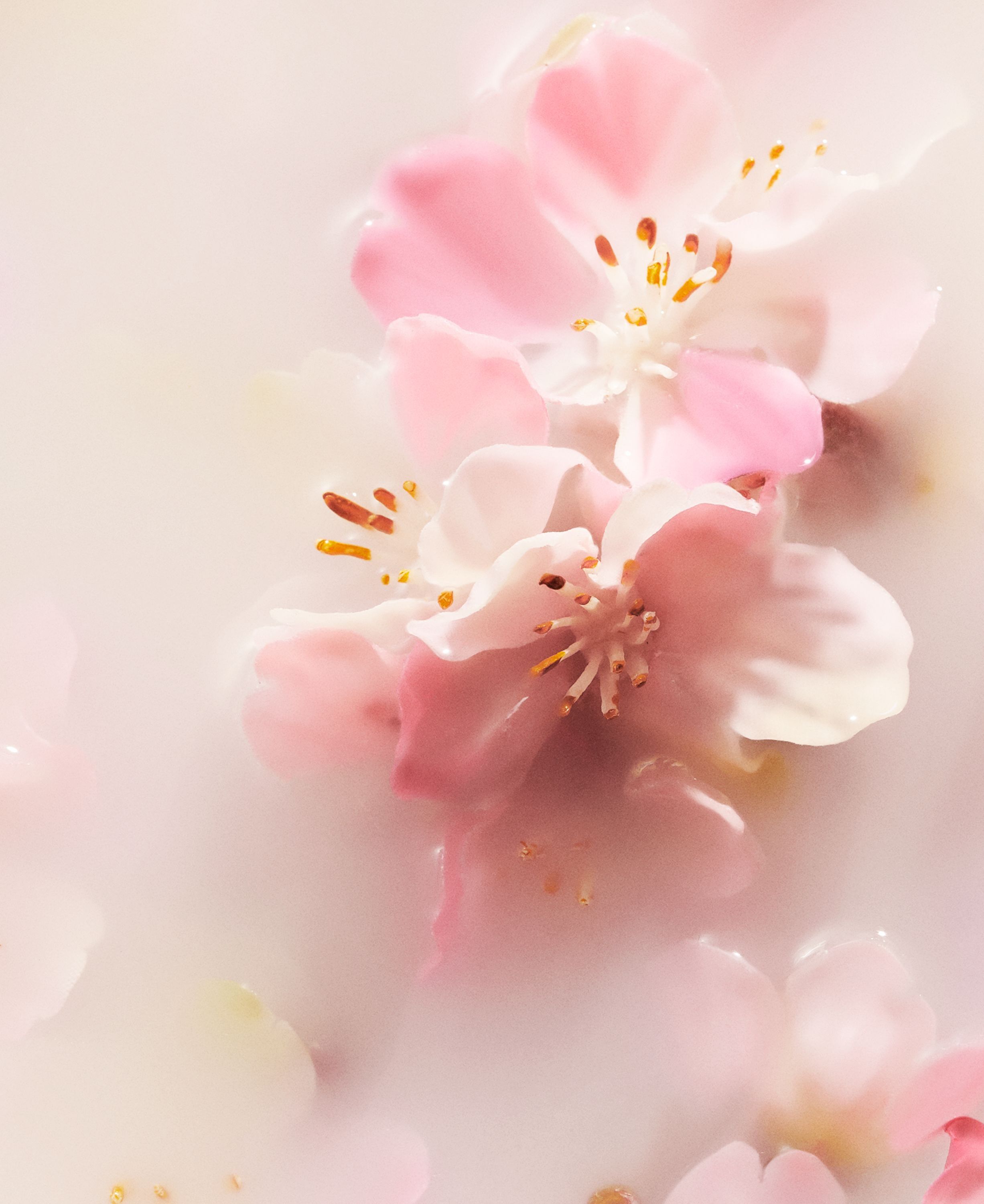 The Ritual of Sakura Mini Fragrance Sticks 70ml