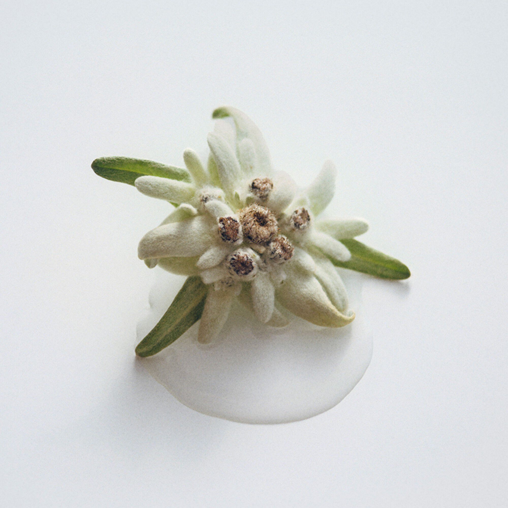 SK ADVANCED ANTI-AGEING LIGHT CREAM