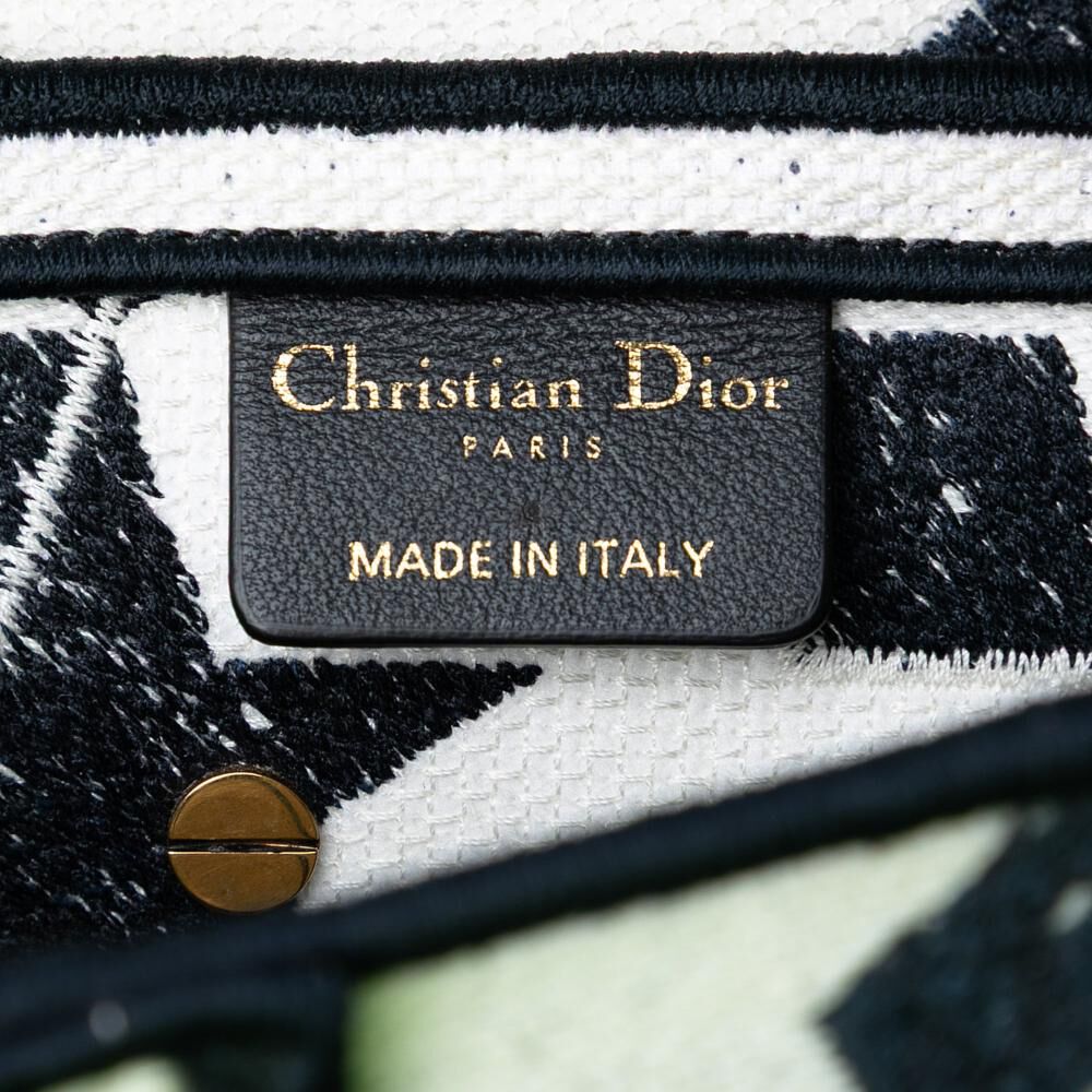 Dior Saddle Bag