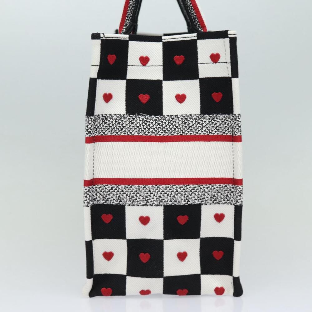 Dior Book Tote