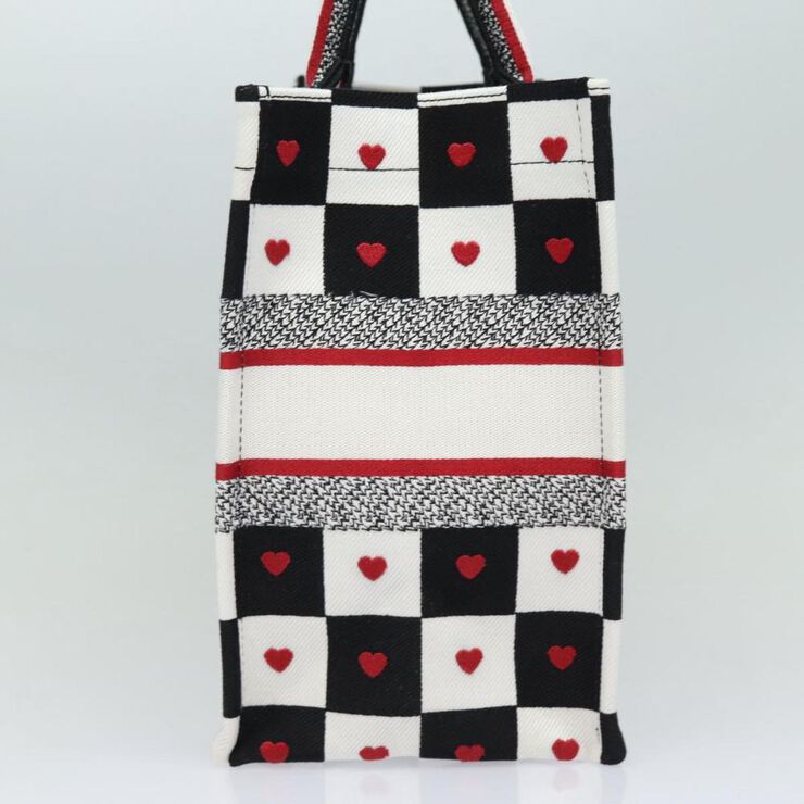 Dior Book Tote