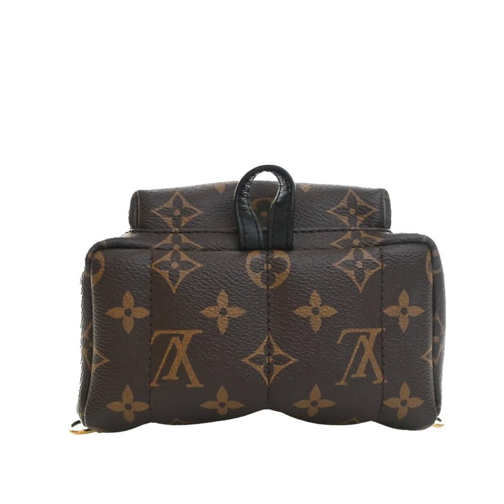 Louis Vuitton Palm Springs