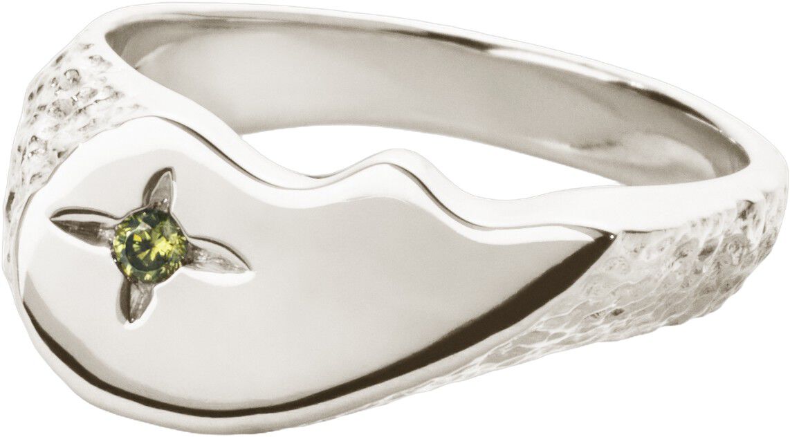 Shiny BFF Sparkly Ring