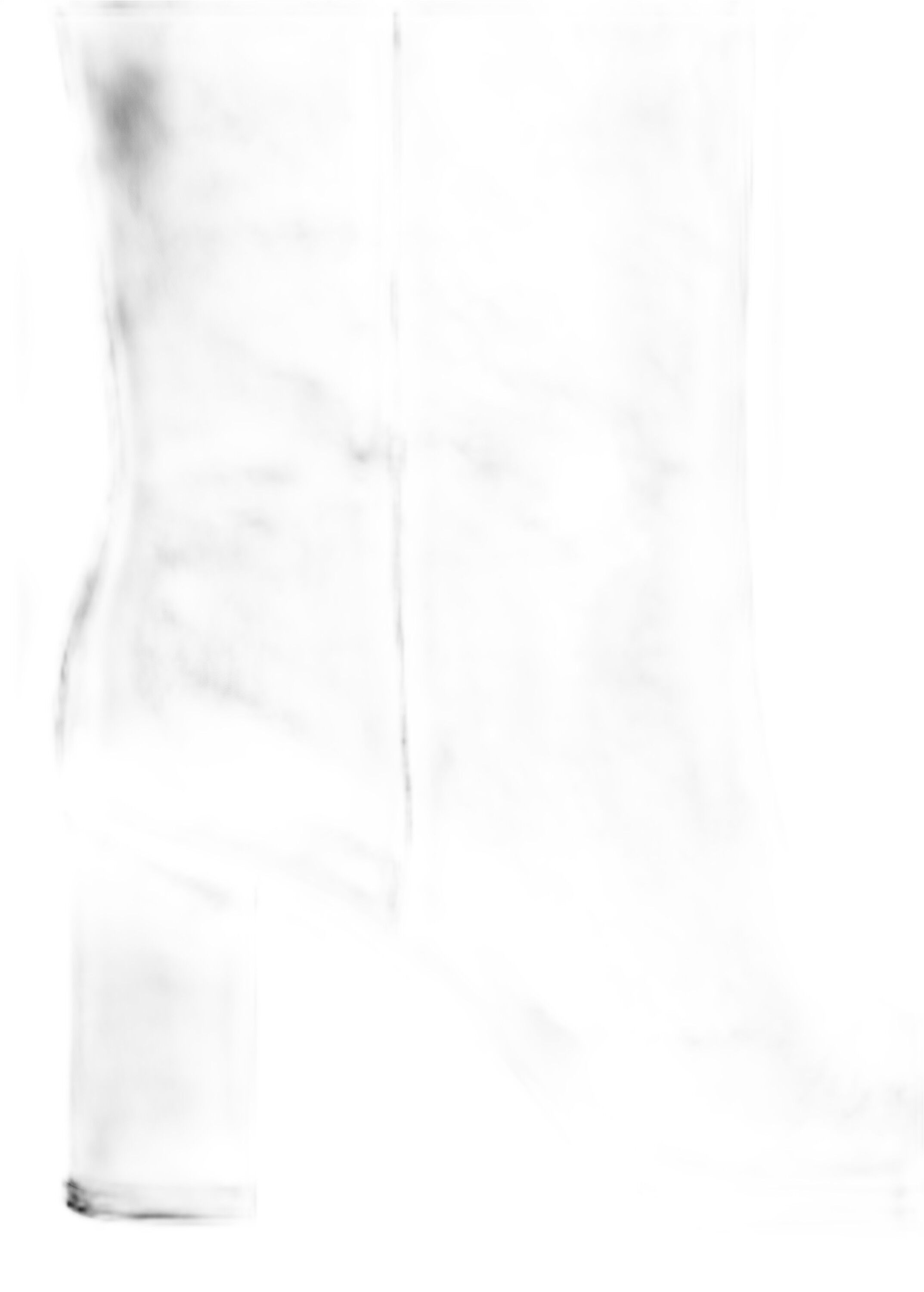 BOTA RIGEL
