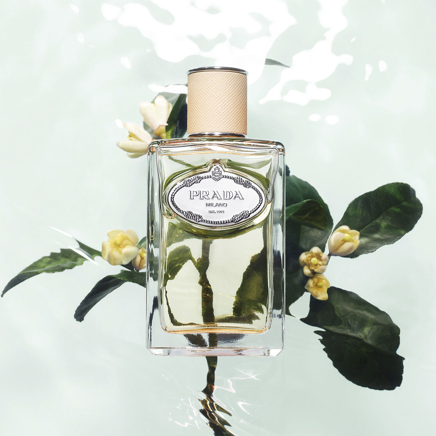 Infusion de Fleur d'Oranger Eau de Parfum