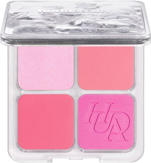 Blush Filter Blurring Blushlighters Palette - Palett med blush och hig