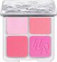 Blush Filter Blurring Blushlighters Palette - Palett med blush och hig