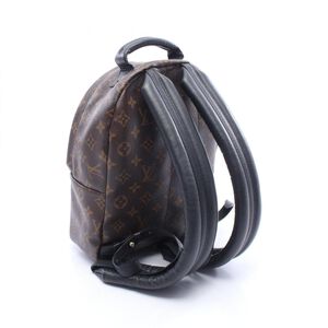 Louis Vuitton Palm Springs