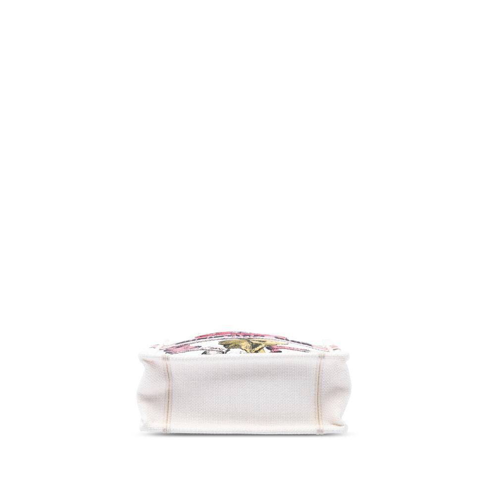 Dior Book Tote