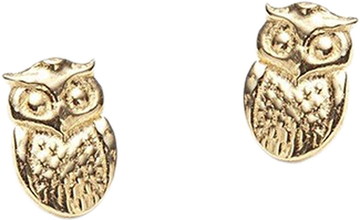 Global Goal #4: Wisdom Studs