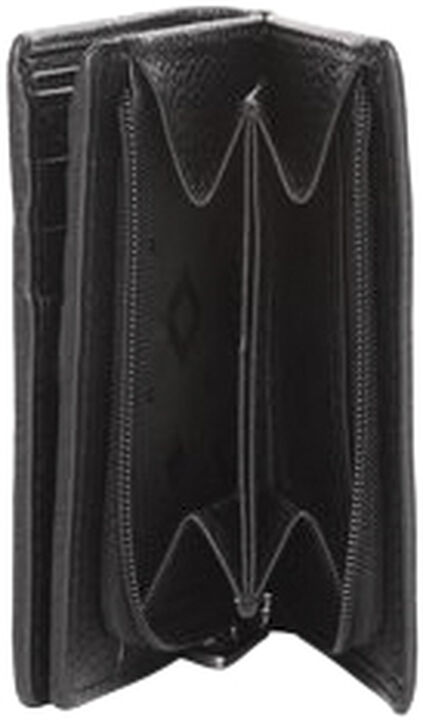 Cormorano pung ninni