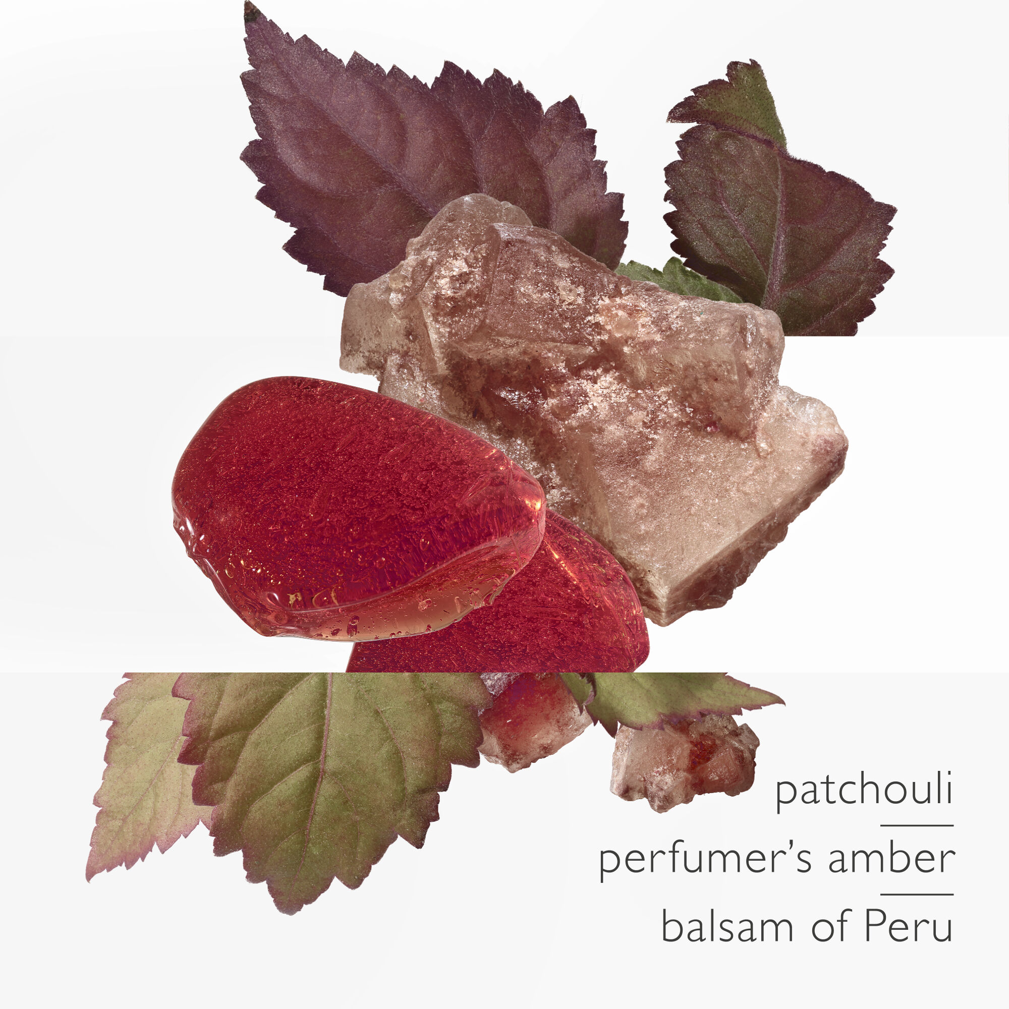 L'Ambre des Merveilles Eau de Parfum