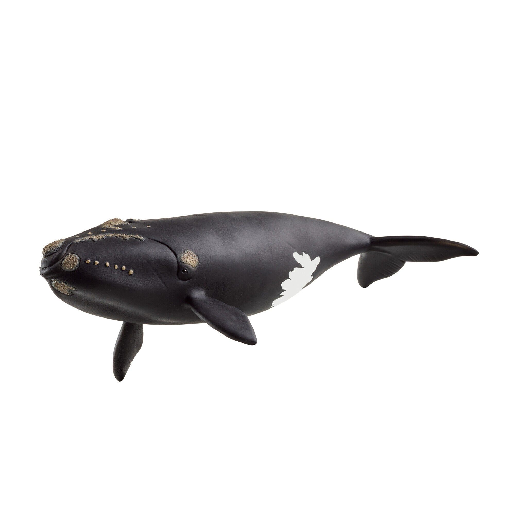 Schleich North Atlantic R