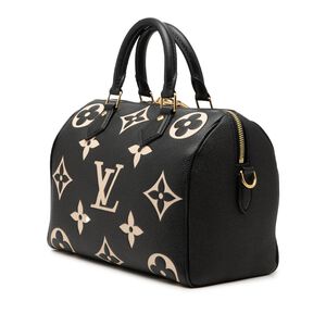 Louis Vuitton Speedy