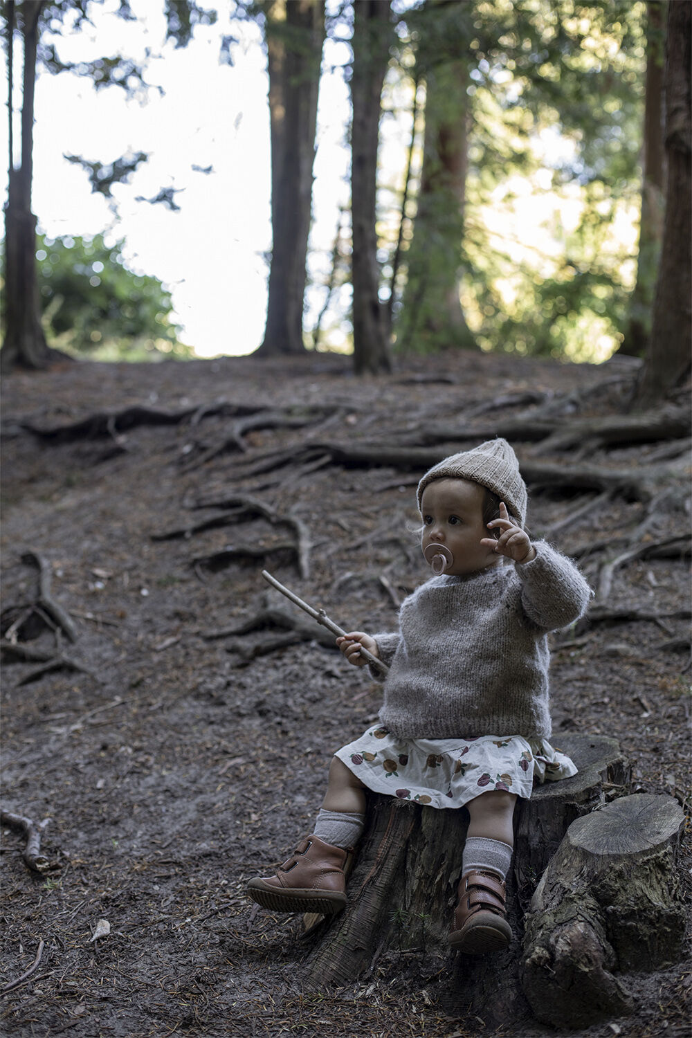 BIBS Colour 2 PACK Woodchuck/Blush