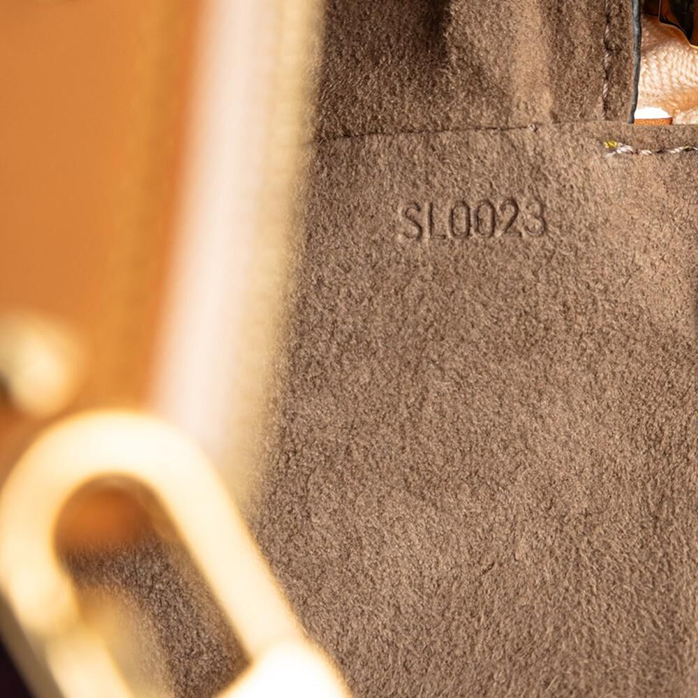 Louis Vuitton Pochette Accessoires