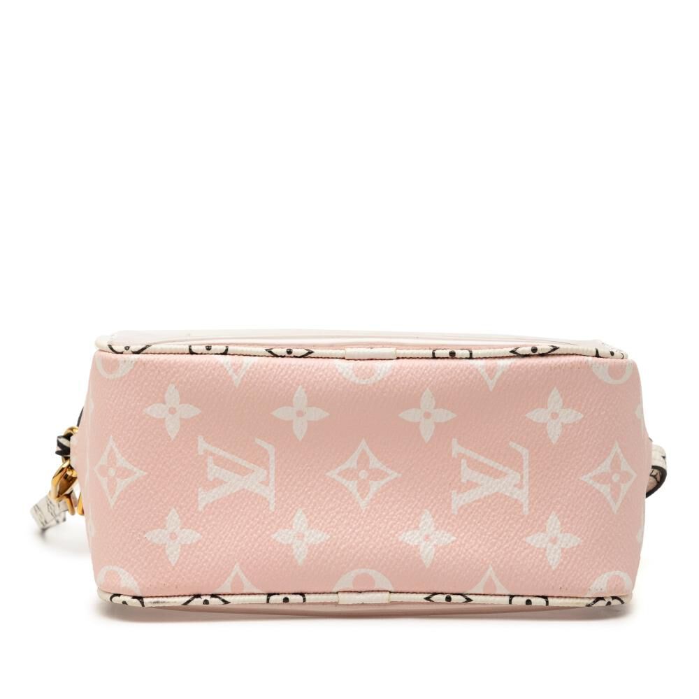 Louis Vuitton Pouch