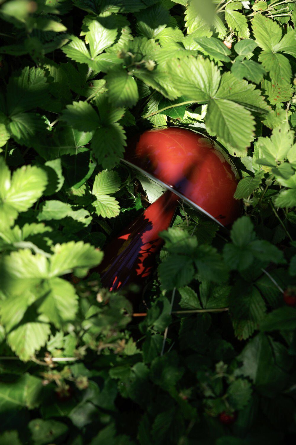 Mush Portable Lamp Red