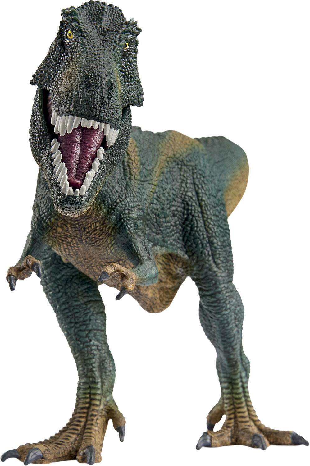 Sch Tyrannosaurus rex