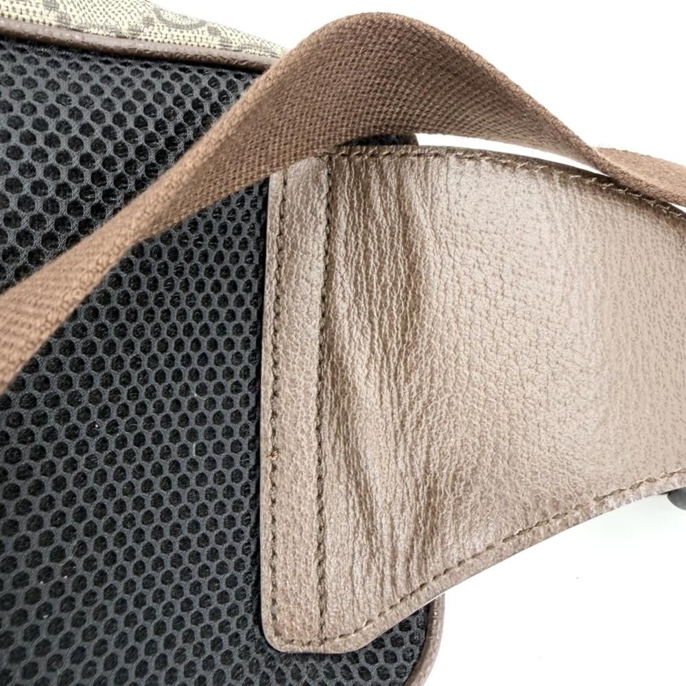 Gucci Ophidia