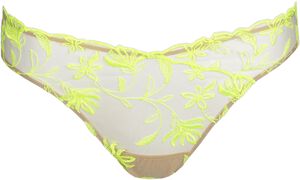 Shay rio briefs