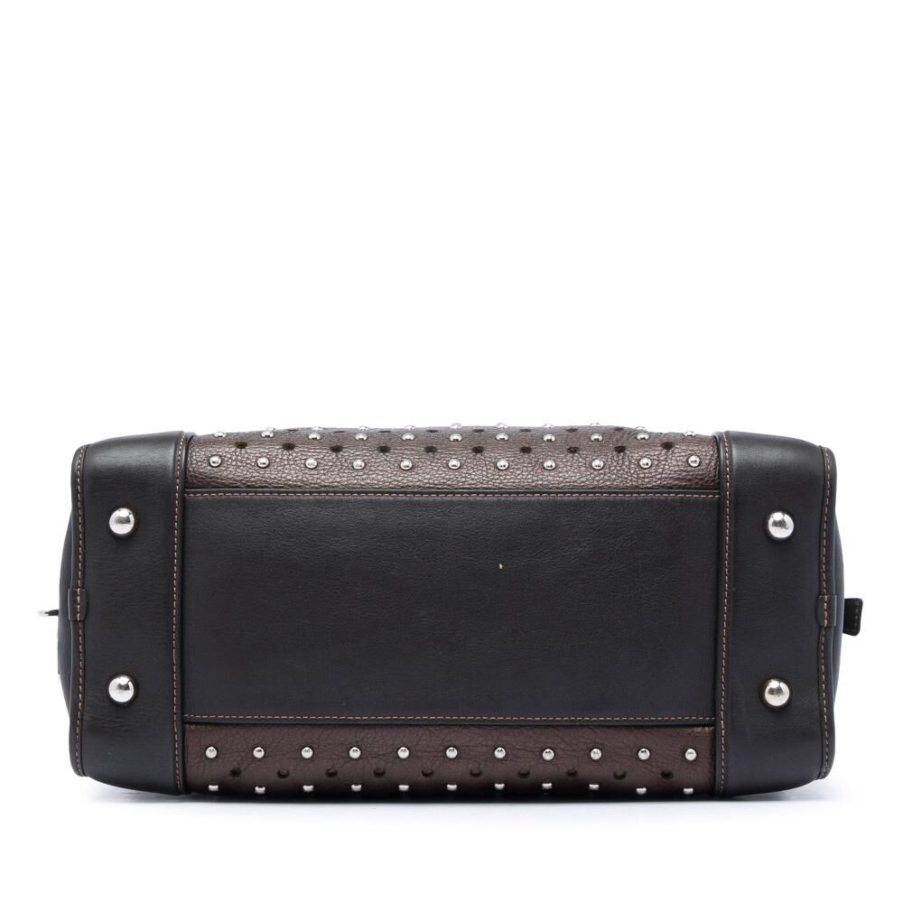Loewe Amazona