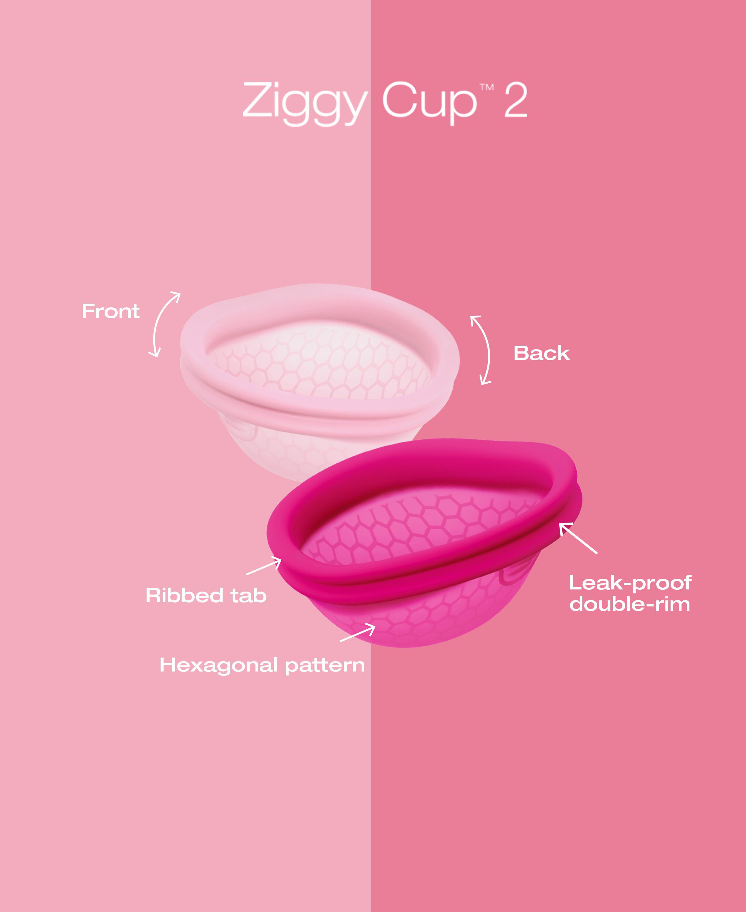 Ziggy Cup 2 Size B