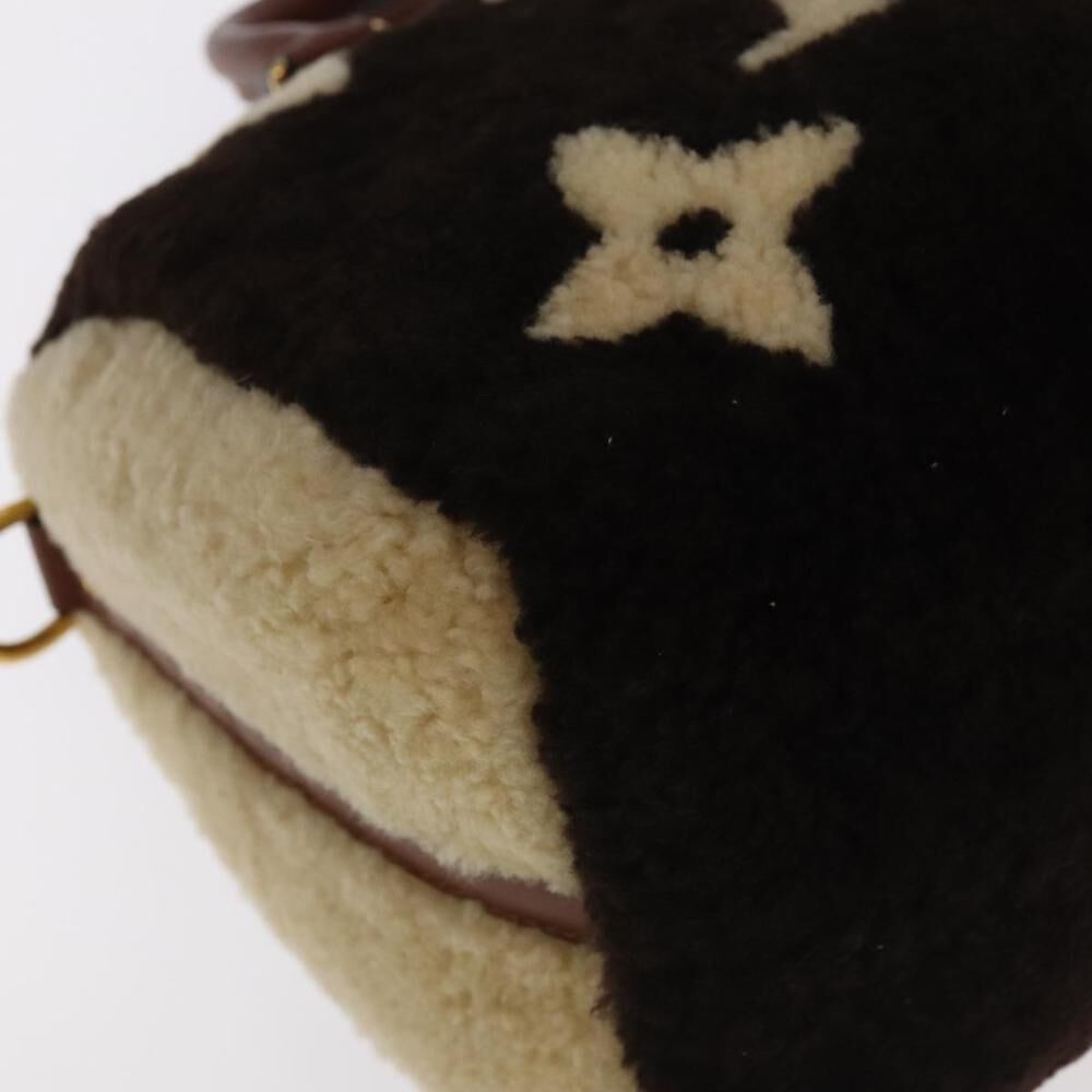 Louis Vuitton Speedy