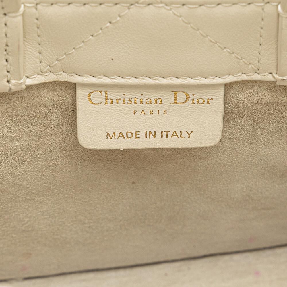 Dior Book Tote